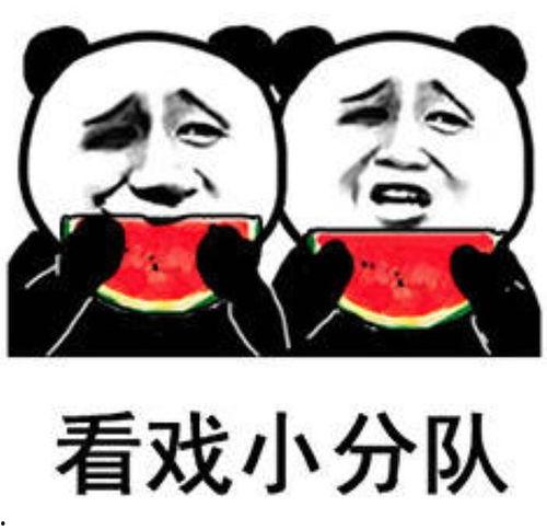 娱乐圈吃瓜的表情包图片