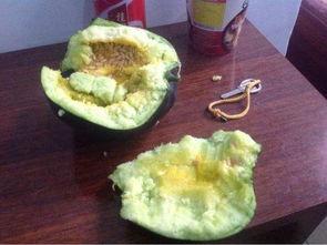 当前娱乐吃瓜,揭秘明星幕后故事